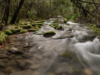 Con el agua al cuello