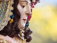 Perfil Divino